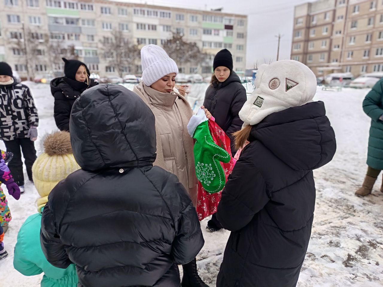 Вы сейчас просматриваете Зимний переполох в п. Мещерское М.О. Чехов